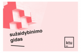 Išsamus gidas apie sužaidybinimo subtilybes