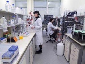 laboratorija_nsl_