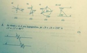 matematikos_grafikai