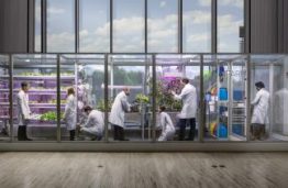 KTU gimstančiame tyrimų ir inovacijų inkubatoriuje – mokslo, technologijų ir meno sąveika