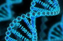 Medžiagos ir nanotechnologijos: nuo medicinos ir baterijų iki kosmetikos ir lėktuvų