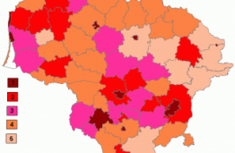 VPAI atstovai teikia rekomendacijas LR regioninės politikos tobulinimui