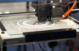 Atsiveria beribės 3D spausdinimo galimybės